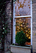 Blick durch ein Schiebefenster auf einen Weihnachtsbaum mit Lichterketten von außen