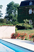 Pot plants in bloom on poolside area of ivy-clad French house
