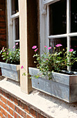 Oxfordshire house exterior with window boxes 