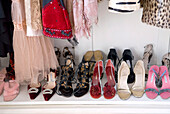 Shoes in the wardrobe