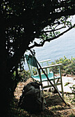 Stuhl im Freien neben einem Baum am Meer