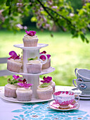 Auslage mit rosa geeisten Cupcakes auf einem Gartentisch im Sommer