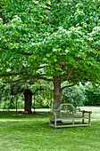 Wooden bench seat below tree in grounds of Canterbury home England UK