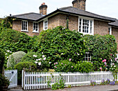 White picket fence and climbing plants on exterior of London family home England UK