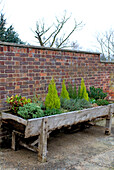 Salvaged wooden raised flowerbed in brick walled garden of rural Suffolk home England UK