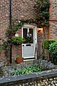 Climbing plant with red berries above front door of Walberton home, West Sussex, England, UK