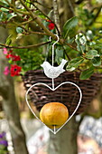 Heart shaped ornament with apple in garden of Bovey Tracey family home, Devon, England, UK