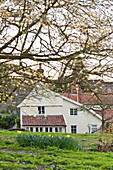 Freistehendes Haus in Suffolk durch die Äste eines Baumes im Garten gesehen, England, UK