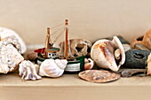 Assorted seashells and model boat on shelf in Suffolk farmhouse, England, UK