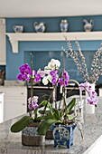 Orchids on marble worktop in kitchen of contemporary Suffolk country house, England, UK