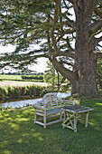 Sitzbank und Tisch im Schatten eines Baumes auf dem Gelände eines Landhauses in Suffolk, England, Vereinigtes Königreich