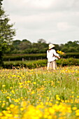 Woman standing alone in a field of buttercups (Ranunculus), Brecon, Powys, Wales, UK