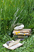 Blumenpressenbücher und ein Krug mit hohem Gras in Brecon, Powys, Wales, UK