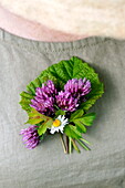 Thistle buttonhole in Brecon, Powys, Wales, UK