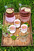 Tray of cups with pink lemonade in Brecon, Powys, Wales, UK
