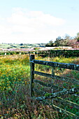 Open fence in rural field, Blagdon, Somerset, England, UK