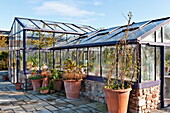 Pot plants on paved greenhouse exterior in Blagdon, Somerset, England, UK