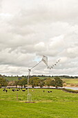 Metal kite sculpture in field with grazing cows, Blagdon, Somerset, England, UK