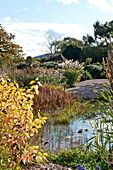 Rural garden pond, Blagdon, Somerset, England, UK
