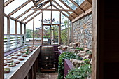 Wooden barrel and potplants in greenhouse interior, Blagdon, Somerset, England, UK