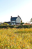 Ländliches Bauernhaus und Feld mit Wildblumen in Blagdon, Somerset, England, UK