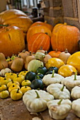 Pumpkins and gourd vegetables in garden shed, Blagdon, Somerset, England, UK