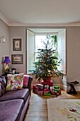 Lilac sofa with Christmas tree in window of Penzance family home Cornwall England UK