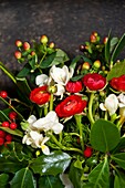 Red flowers and berries with white freesia flower arrangement in Penzance family home Cornwall England UK