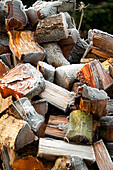 Log pile with frost on Hawkwell tree farm Essex England UK