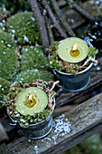 Lit tealights and moss on London garden seat England UK