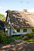 TV aerials on roof of thatched cottage Cambridge England UK