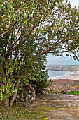 View of cove from driveway in rural Cornwall England UK