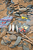 Fish on barbecue grill with picnic blanket on beach in Cornwall UK