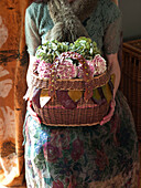 Woman holds basket of Autumn flowers in UK home