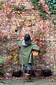 Woman collecting Autumn leaves from brick walled garden UK