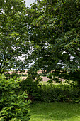 Hecke und Baum mit Blick auf Felder vom Haus in Helston Cornwall UK
