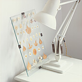 Dried flower frame and lamp