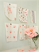 Floral wallpaper samples pinned to a wall with a pink rose in foreground 