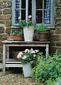 Bench with flowers in pots near window and stone wall