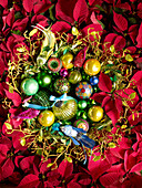 Assorted green and yellow baubles with bird ornaments on Poinsettia Scotland UK