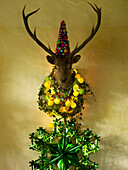 Deer's head crowned with baubles and garlands Scotland UK