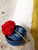 Red geranium and bowl of string Spain