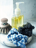 Handwash and scrubbing brush with scourer and cloth