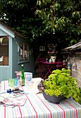Drinks on table in cottage garden with bunting on shed, Corfe Castle, Dorset, England, UK