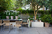 Potted plants on table with cane chairs and olive tree on patio in Wandsworth garden London England UK