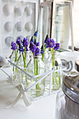 Purple single stem flowers in glass bottles on windowsill in Dorset cottage Corfe Castle England UK