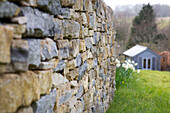 Dry-stone wall and daffodils with garden shed in Dorset garden Corfe Castle England UK