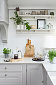 Kitchen detail with chopping boards and open shelving displaying pots and indoor plants Oxfordshire UK