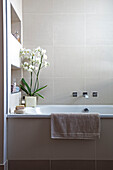 Orchid on bath surround with recessed shelving in neutral contemporary London bathroom, England, UK