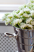 White flowers in silver ice bucket in Hendon home London UK